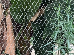 เครือเชือกเชือกเหล็กไร้ขัดเหล็ก เครือเชือกสายโลหะ เครือเชือกไฟฟอร์รูล สวนสัตว์ เครือเชือก โครงสร้างกรวดทรงเพชร