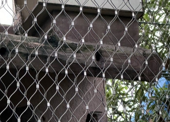 Rhomboid Hole Rockfall Prevention Netting with Ferruled Connection สําหรับสวนสัตว์