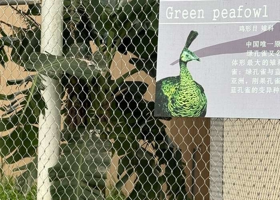 Rhomboid Hole Zoo Rope Mesh สแตนเลส ยืดหยุ่นสําหรับสัตว์
